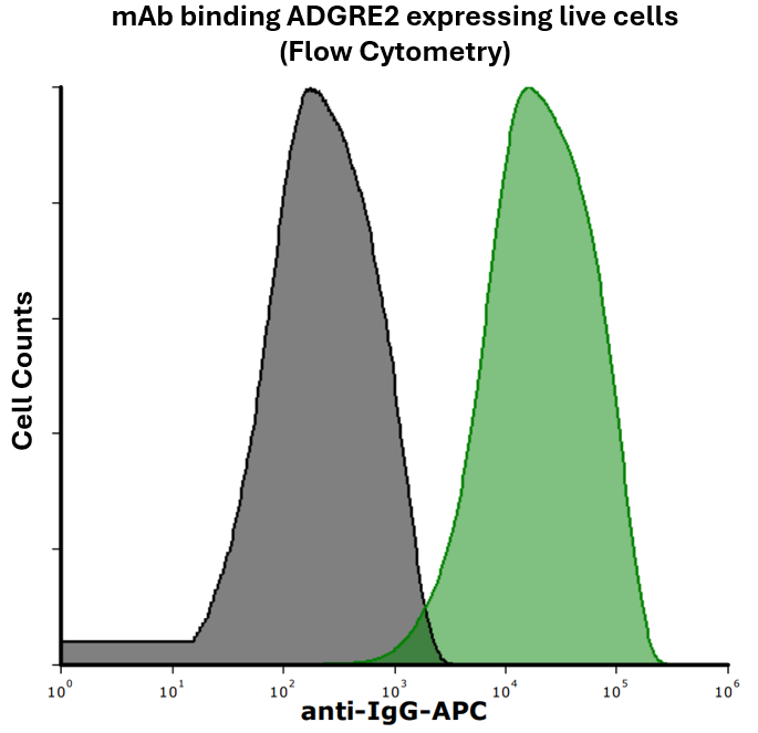 Anti-Human ADGRE2 Monoclonal Antibody | Bioactive Recombinant Protein ...