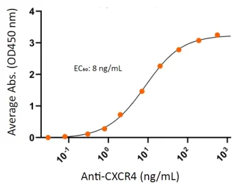 CXCR4 Specific Antibody Binding CXCR4 Specific Antibody Binding