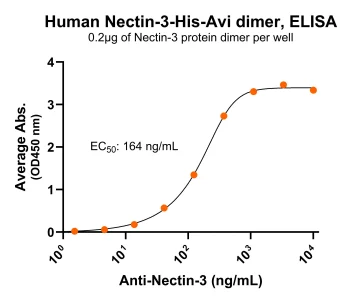 Nectin-3 Antibody ELISA for PS