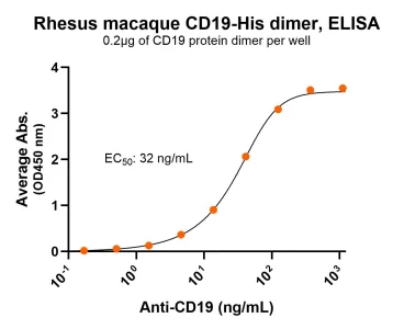 Rhesus CD19 Antibody ELISA for PS