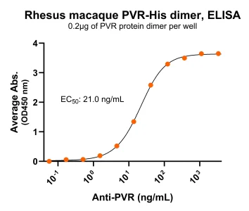 TS297-01 Rhesus PVR Antibody ELISA for PS