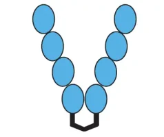 csp-homodimer-diagram csp homodimer protein diagram