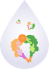 Conigen Soluble Dimeric Recombinant Proteins
